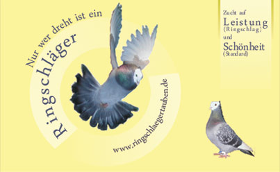 Ringschl&auml;ger