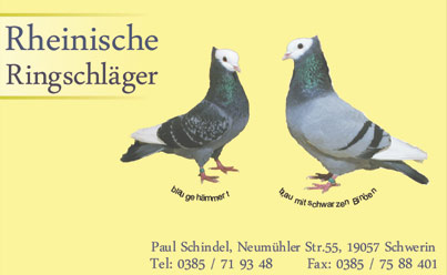 Ringschl&auml;ger